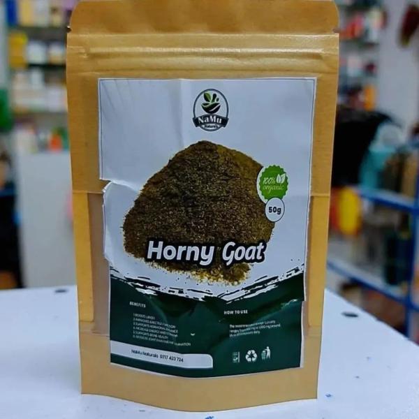 HORNY GOAT